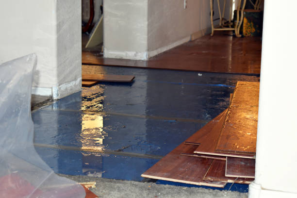 Professional Burst Pipe Cleanup technician working in Woodworth, ND